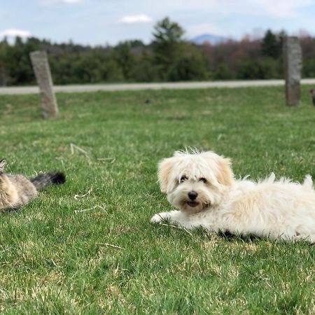 East MontpelierCountry Farmhouseアパートメント エクステリア 写真